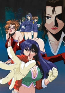 Shin-ban Megami Tantei Vinus File