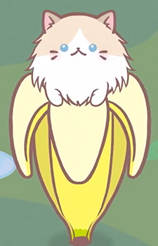 Ragdoll Bananya