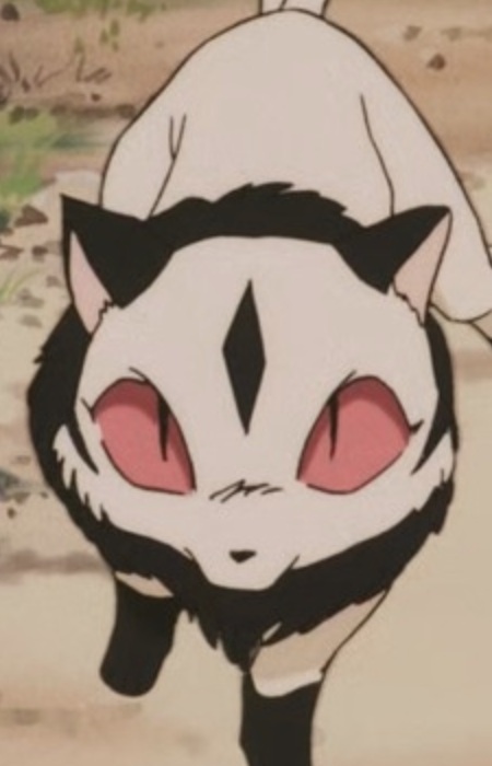 Kuroro