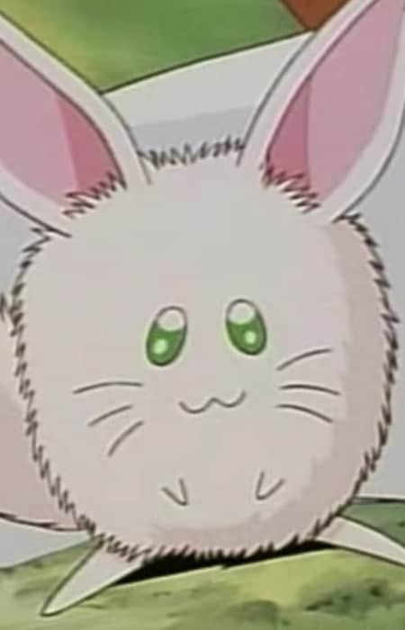 Rurupapa