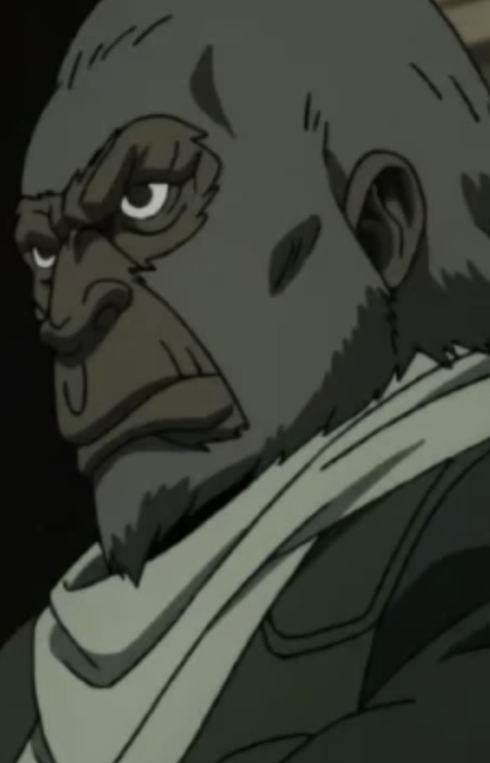 Monkey Mask Robber