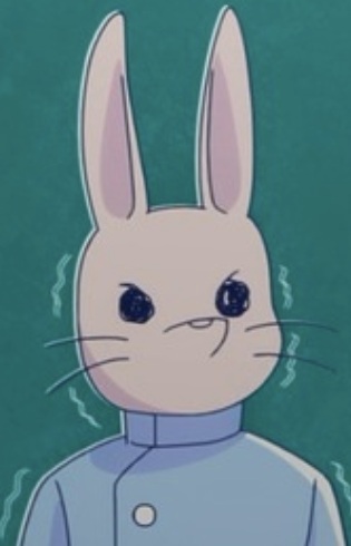 Rabbit Nurse